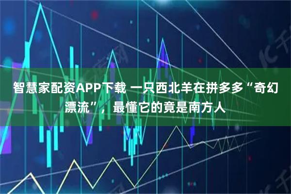 智慧家配资APP下载 一只西北羊在拼多多“奇幻漂流”，最懂它的竟是南方人
